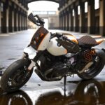 ldk-ninet